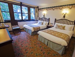 OLEVENE image - SEQUOIA LODGE chambre -